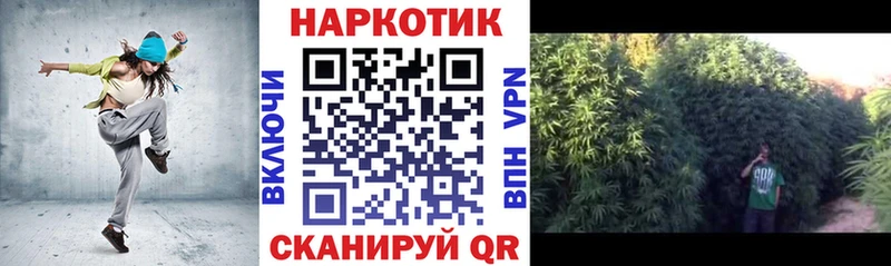 Как найти наркотики Фрязино Бошки Шишки  КОКАИН  Гашиш 
