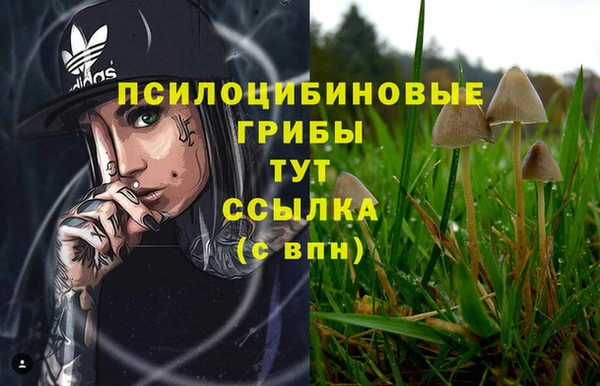 MDMA Premium VHQ Медногорск