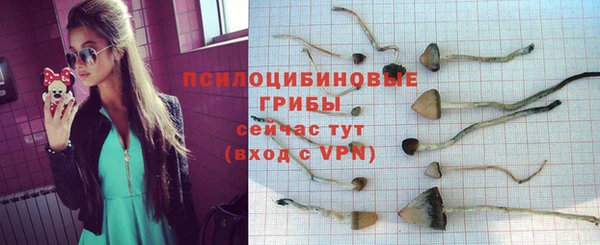 СК Мегион