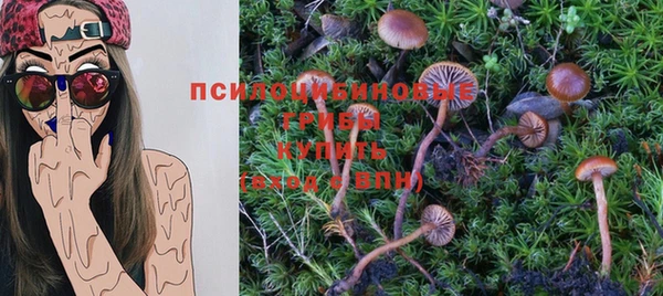 СК Мегион
