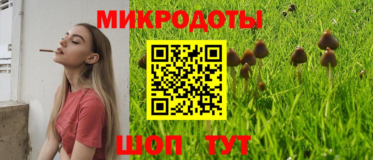 цена наркотик  Галлюциногенные грибы Psilocybine cubensis  Вход с VPN  Фрязино 
